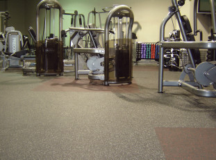 Roppe Recoil_Workout Room