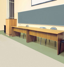 Roppe Health & Learning Vinyl Lecture Room