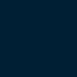 139 deep navy